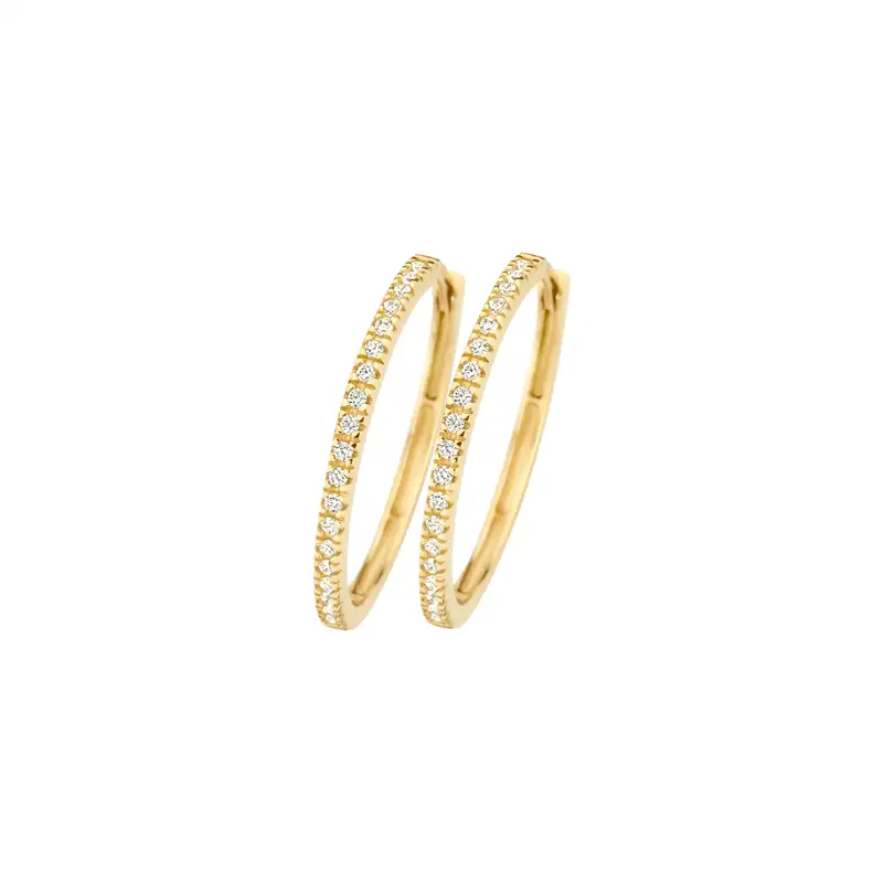 Blush Oorringen 7306YZI - Geel Goud (14k) met Zirkonia